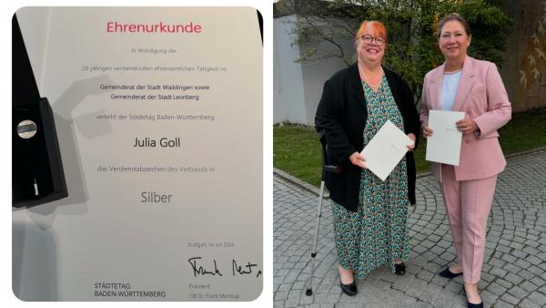 Verdienstabzeichen in Silber