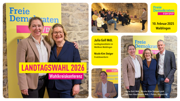 Wahlkreiskonferenz