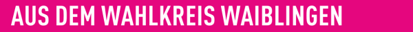 Wahlkreis