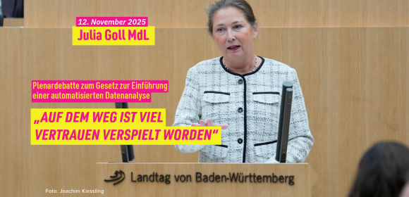 Plenumsrede zur automatisierten Datenanalyse