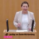 Plenum Julia Goll MdL
