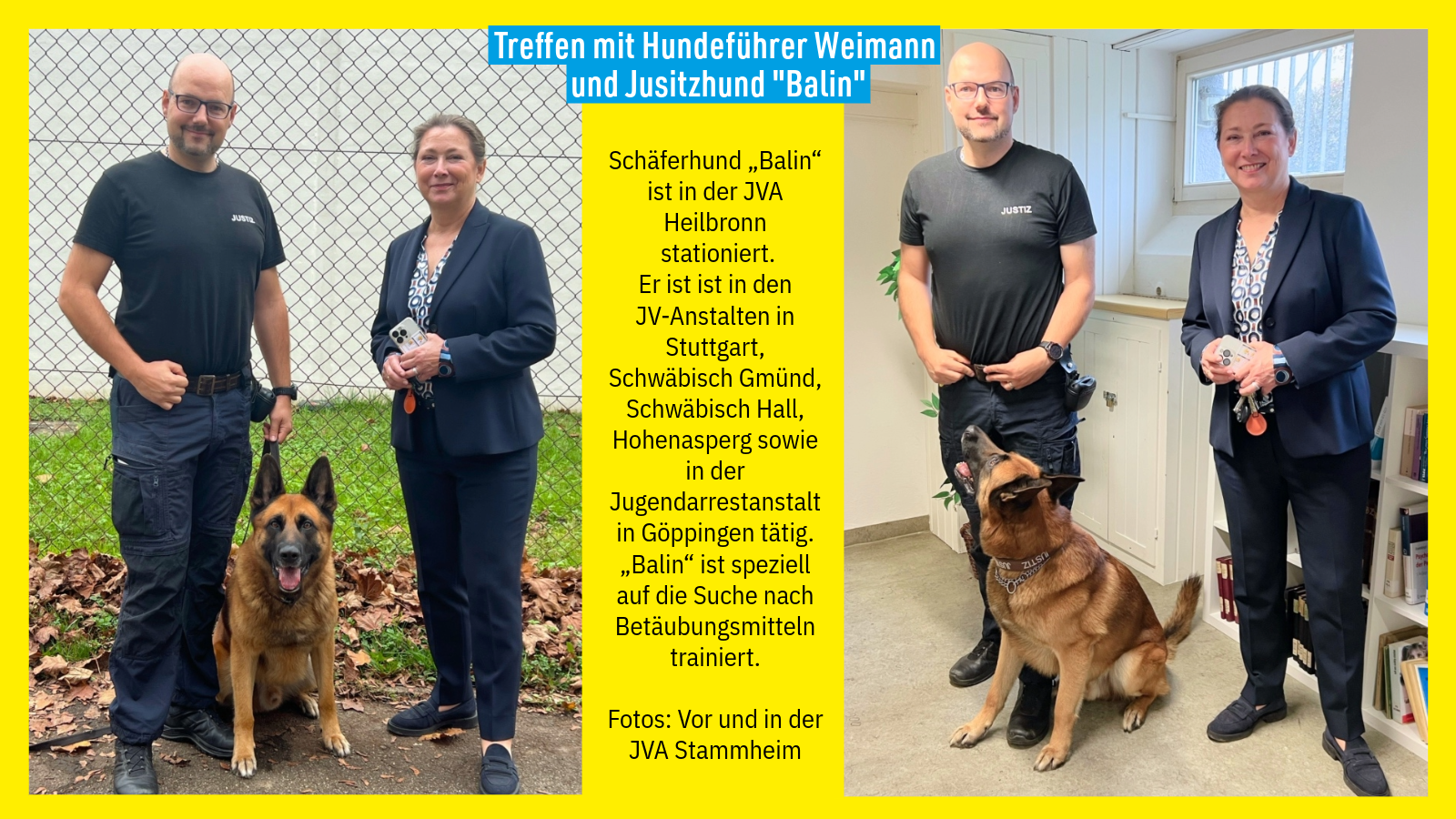 Justizhund Balin 