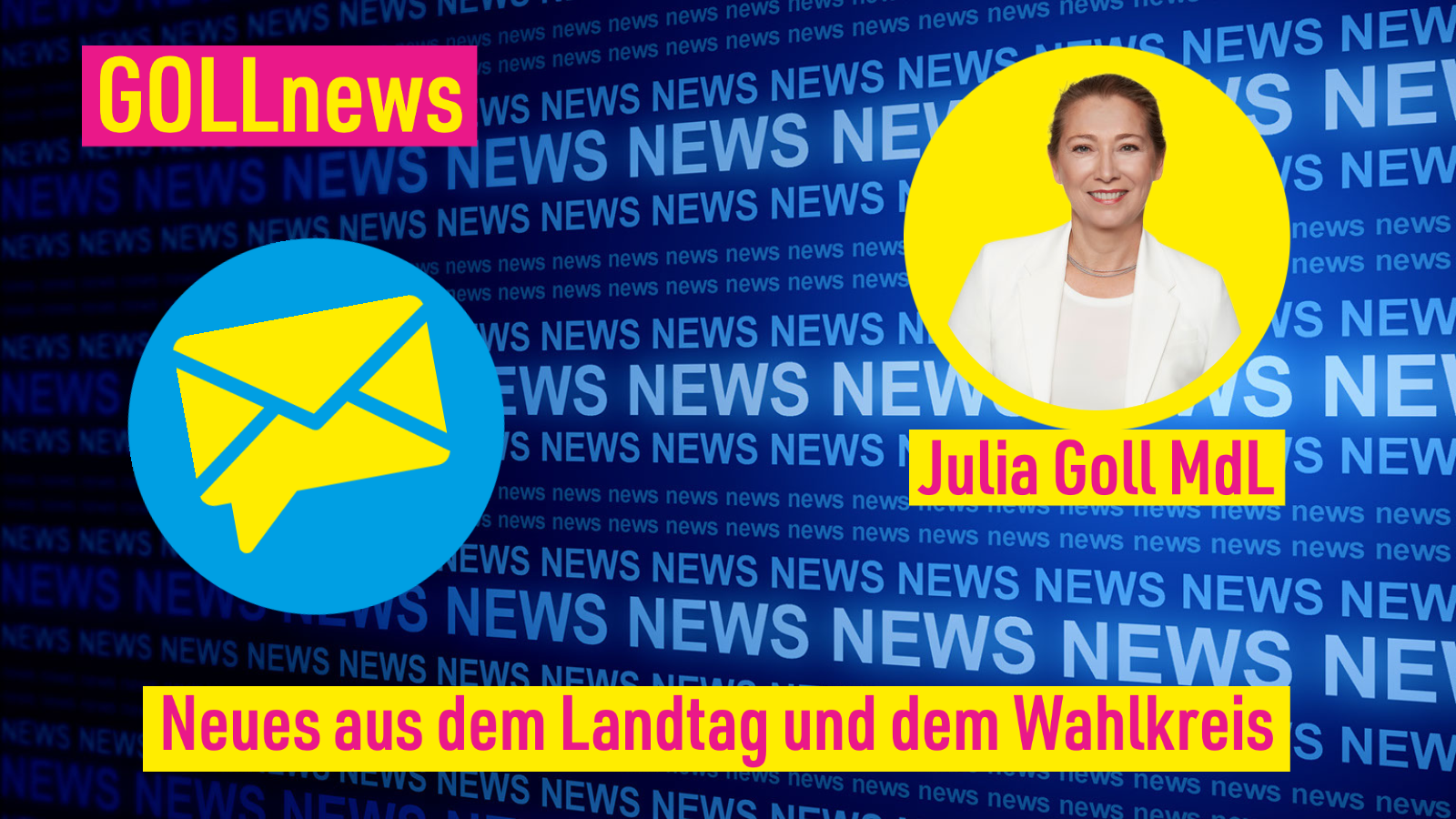 Newsletter Julia Goll MdL