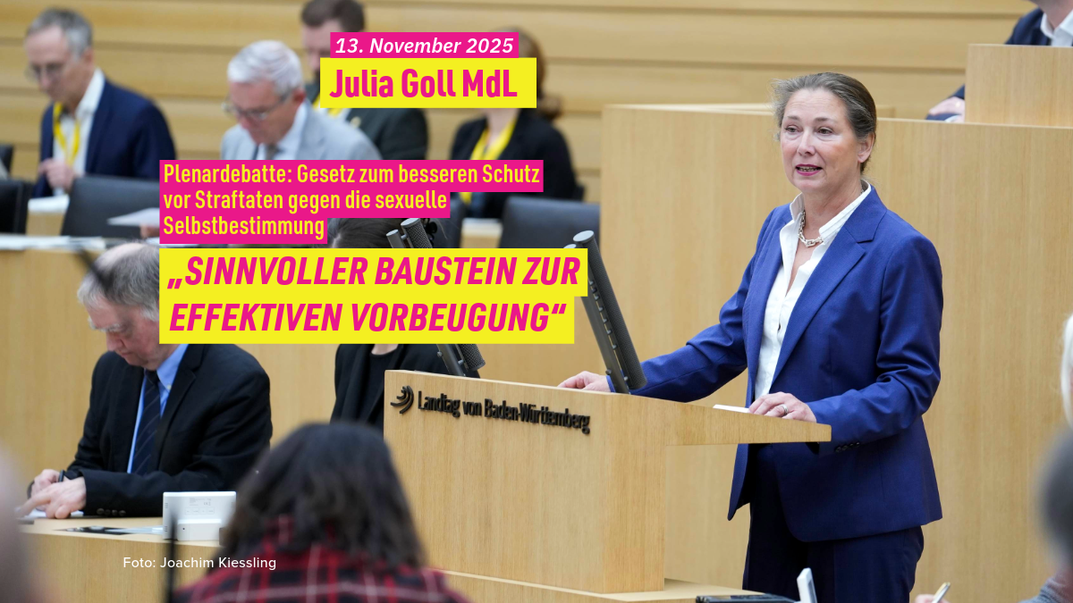 Julia Goll MdL - Rede am 13.11.2025