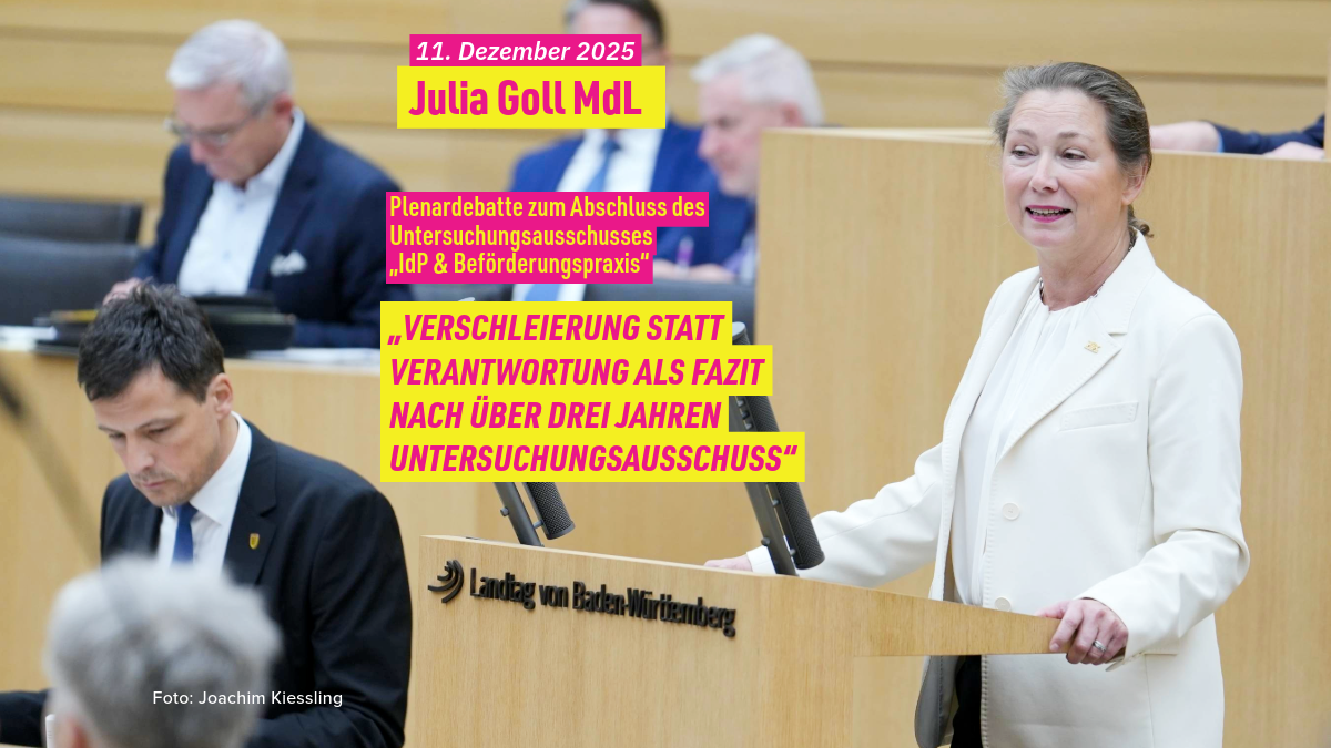 Plenardebatte zum Abschlussbericht "Untersuchungsausschuss Polizeiaffäre"