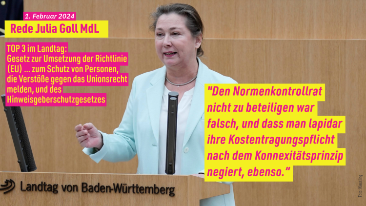 Julia Goll MdL am 1.2.2024 im Stuttgarter Landtag. Foto: Kiessling