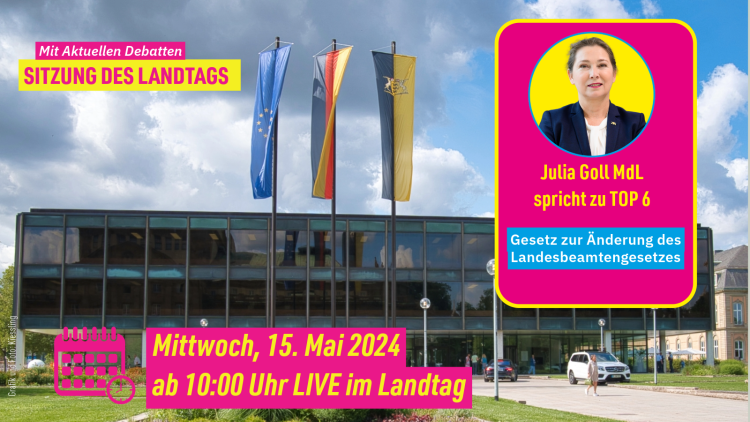 Plenum 15.5.2024