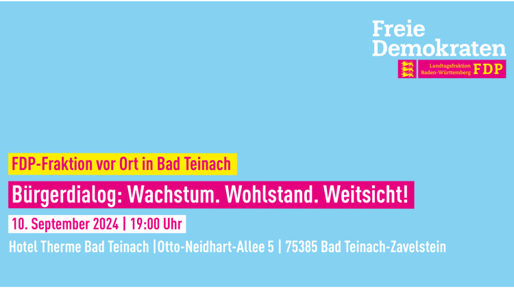 Teinach Bürgerdialog FDP